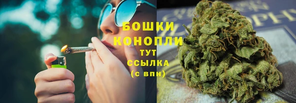 каннабис Богданович