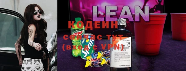 твердый Богородицк
