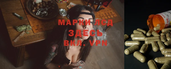 каннабис Богданович