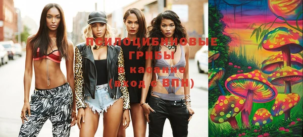 стафф Дубна