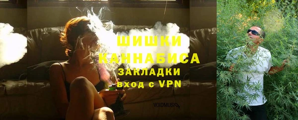 твердый Богородицк
