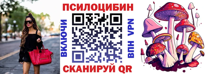 Псилоцибиновые грибы мицелий ссылка на мегу рабочий сайт Макаров